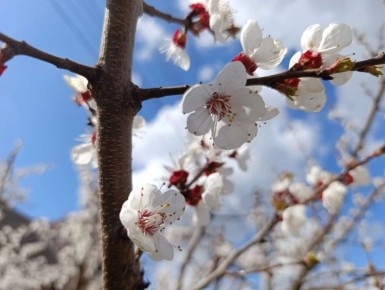 ������ ����, ������������� ������������� �����!