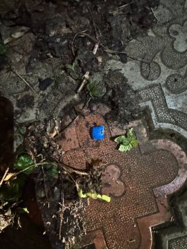 ����������� ��������� ���������� ������ ����������