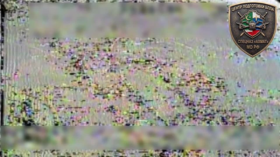 ������ ������ 6 ��������� ����������� ������� 3 ����� ��� ��������� �������� � ������ ���������� ���� �������� �����һ �� �� �� ��������� �����������