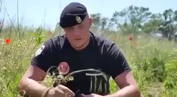 ���� ��������: 12 ��� ����� � �������� �������� �����