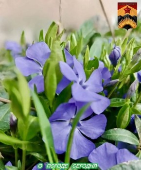 Александр Шатов: Гидрометцентр сообщил о погоде в Шахтерском округе