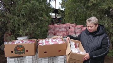 ���������� �������� �������� ���������� ������� ������� ������ ���������