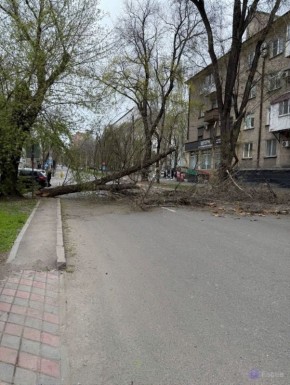 �� ����� ����� ����� ������ � ��������� ������