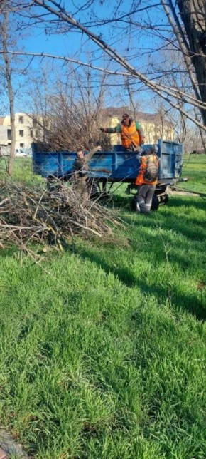 Зеленые зоны Мариуполя освобождают от растительного мусора