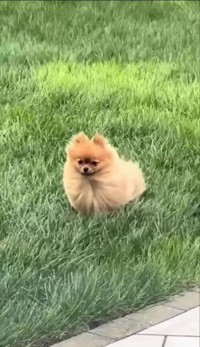 Погода сегодня сногсшибательная