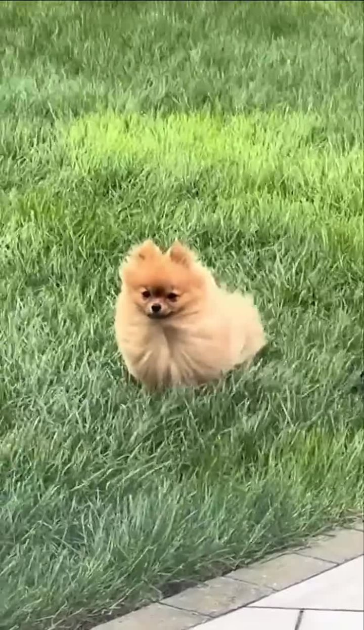 Погода сегодня сногсшибательная