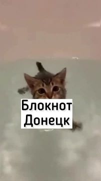 ��-�� ���������� Telegram ��������� �������� ����������� �������