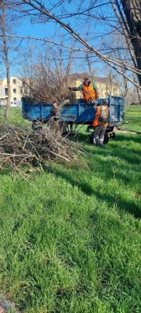 ������� ���� ��������� ����������� �� ������������� ������