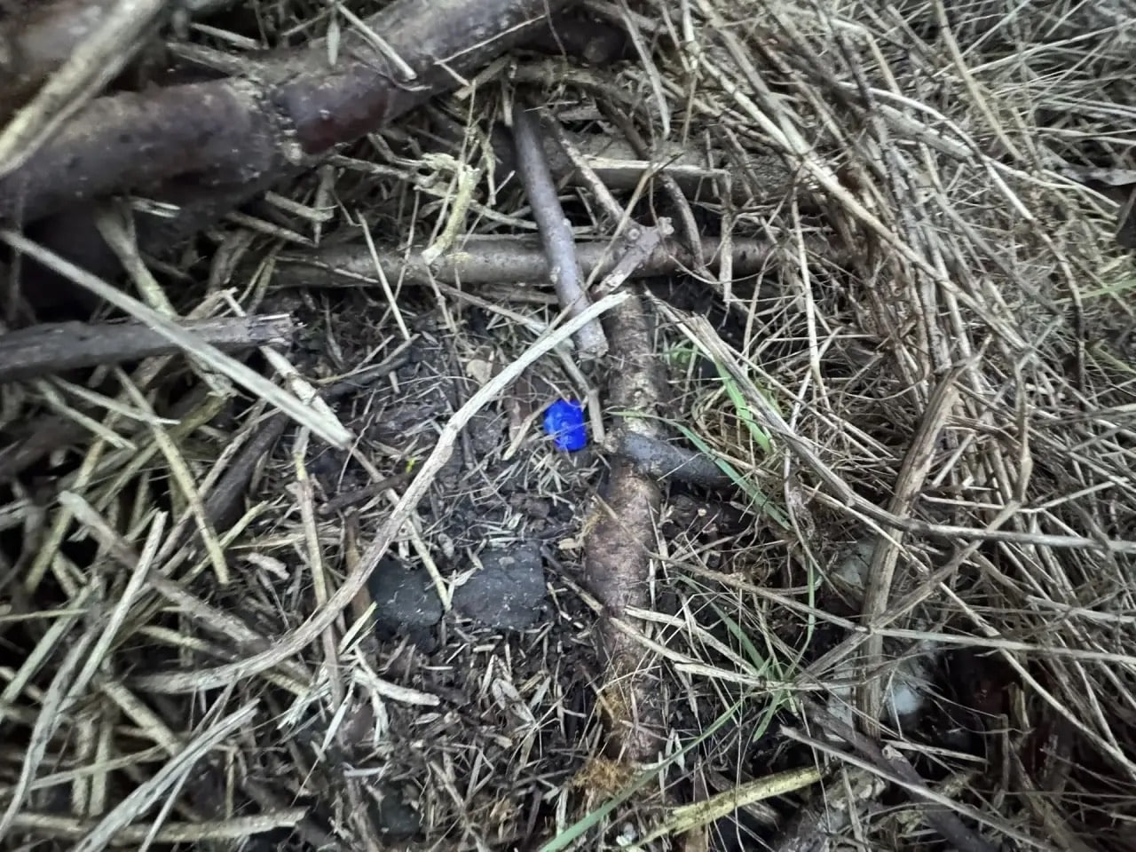 Стражи правопорядка изъяли наркотики у жителя Мариуполя Стражи правопорядка изъяли наркотики у жителя Мариуполя