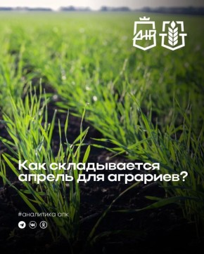 �������� �������� � ����� ������� �������� � �������� ������������ ����������������� ����������