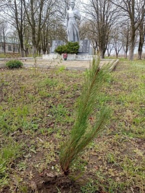 ��� ��������������� �������������� ������: ������ �������� ����������� �������