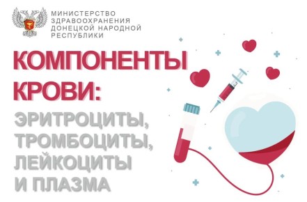 Эритроциты, тромбоциты и плазма: почему каждый компонент крови спасает разных людей