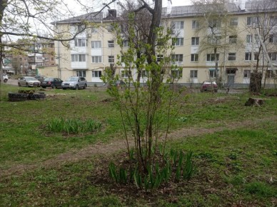 В рамках мероприятий по благоустройству в весенний период коллектив Муниципального бюджетного учреждения дополнительного образования «Детская школа искусств № 1 городского округа Макеевка» принял участие в...