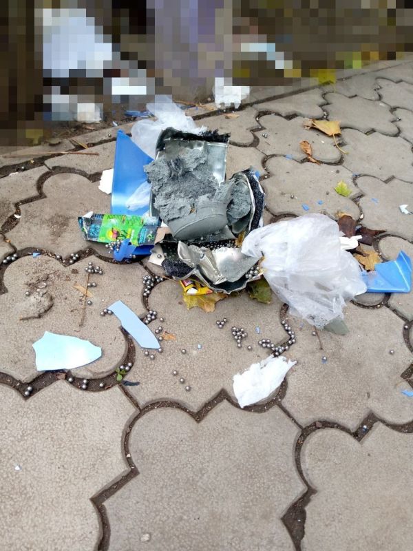 22 года за госизмену и подготовку теракта: жительница Волновахи хотела убить начальника ГУФСИН 22 года за госизмену и подготовку теракта: жительница Волновахи хотела убить начальника ГУФСИН