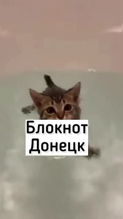 ��-�� ���������� Telegram ��������� �������� ����������� �������