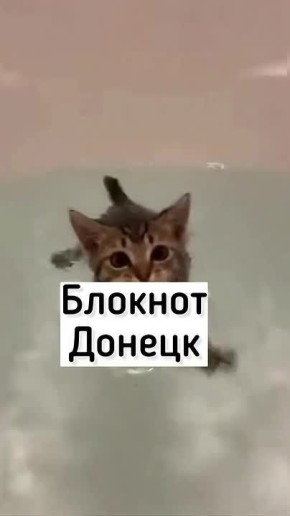 ��-�� ���������� Telegram ��������� �������� ����������� �������