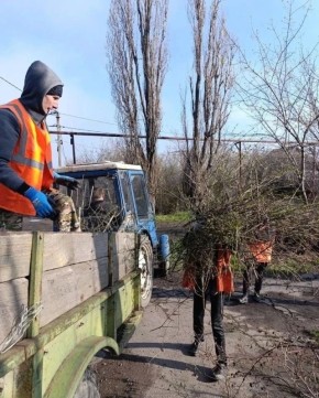 ������������� �������� ���������� ��������������� ���������� ������ �����������