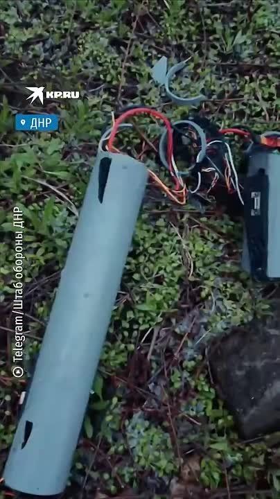 ������ �������� ������� ������� �� ����� 22 ����� ���� ��� � ���