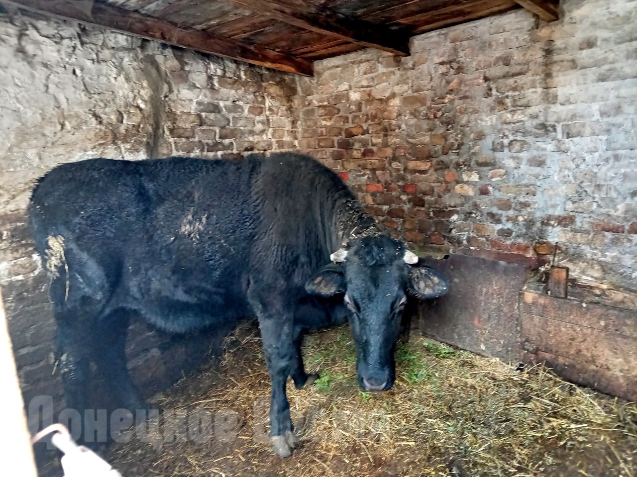 “Страшнее было в 2023 году, когда никого не выпускали”: жители Красногоровки обустраивают быт и верят в скорое восстановление “Страшнее было в 2023 году, когда никого не выпускали”: жители Красногоровки обустраивают быт и верят в скорое восстановление