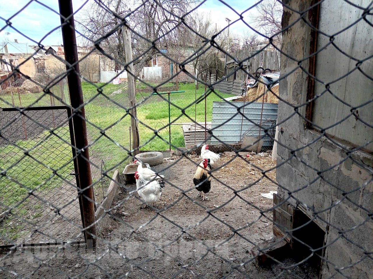 “Страшнее было в 2023 году, когда никого не выпускали”: жители Красногоровки обустраивают быт и верят в скорое восстановление “Страшнее было в 2023 году, когда никого не выпускали”: жители Красногоровки обустраивают быт и верят в скорое восстановление