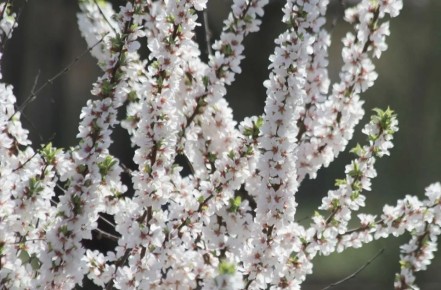 15 ������ � ���������� ���������� ����������, ��� ������������ �������