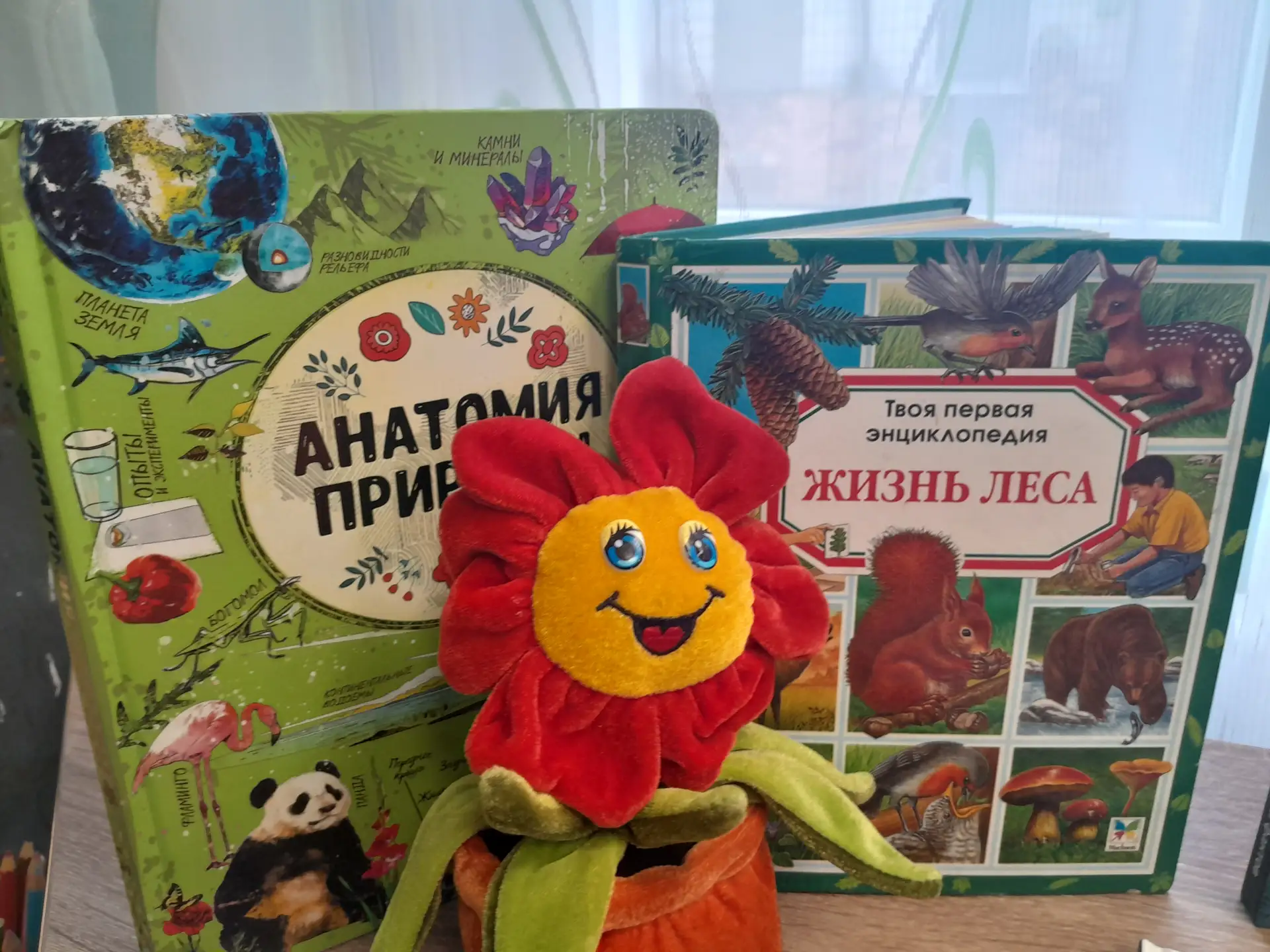 Через книгу в мир природы. День экологических знаний отмечается ежегодно 15 апреля во всём мире Через книгу в мир природы. День экологических знаний отмечается ежегодно 15 апреля во всём мире