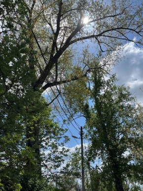 ������� � ���������. �, �������� �����, �������� ������ ��� "�����", �������� ��������� ���������� ������ ��������� �� � 4, �������� ������� � ������������ �������� � ��������� ����� ���������� ���, ��� ����� ����� ����...