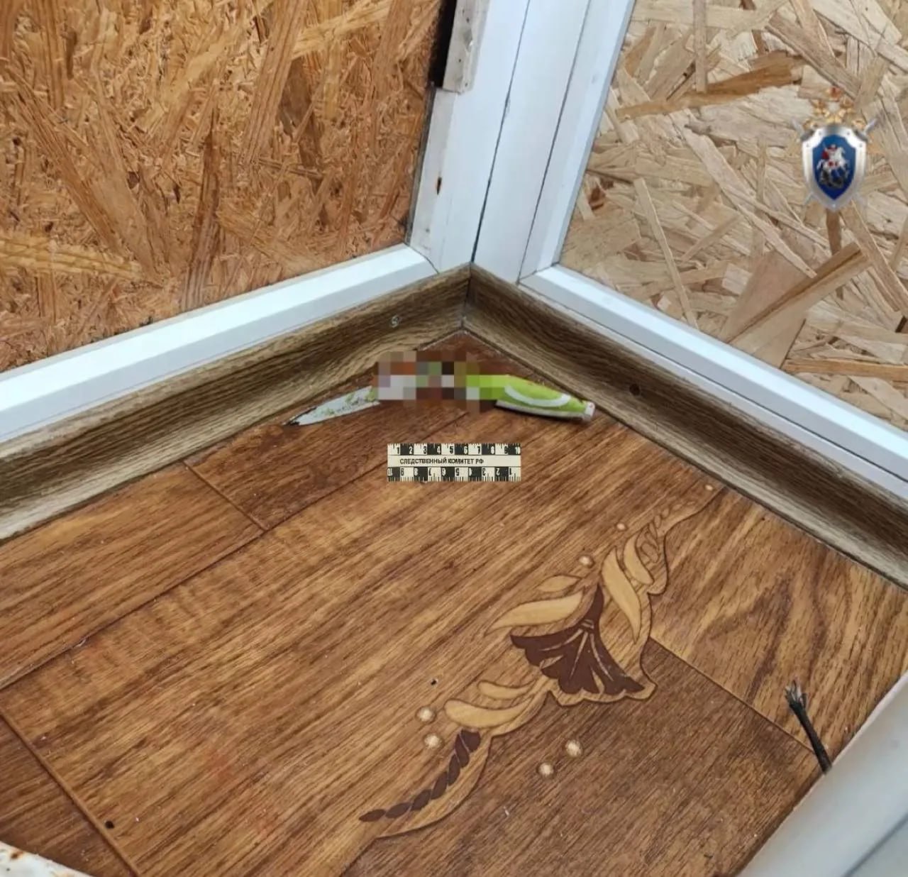 Порезала и добила утюгом: жительницу Донецка будут судить за убийство