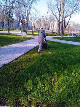 В Мариуполе рабочие зеленого строительства ведут активный покос травы