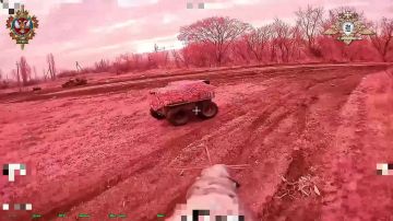 ���������� ���� �� ������ ���� �� ��� ������� ������ "�������"