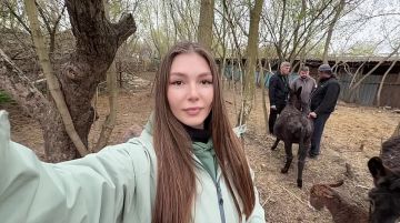 ������� �������: ������ ��� � �����). � �������� � ���� ����������� �������� ���������� ������� ������ ����� �� ����� ������ ������ ������