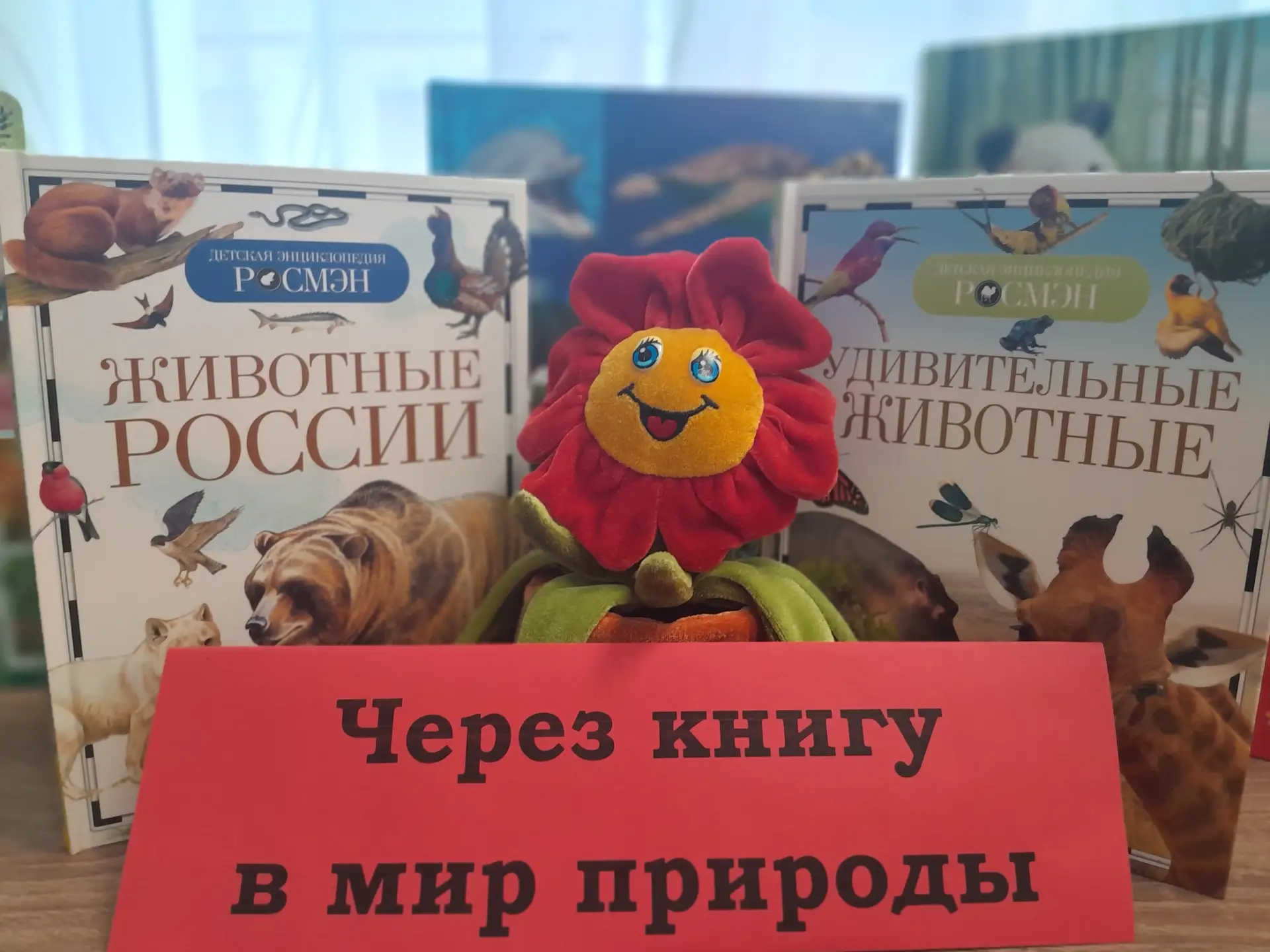 Через книгу в мир природы. День экологических знаний отмечается ежегодно 15 апреля во всём мире Через книгу в мир природы. День экологических знаний отмечается ежегодно 15 апреля во всём мире