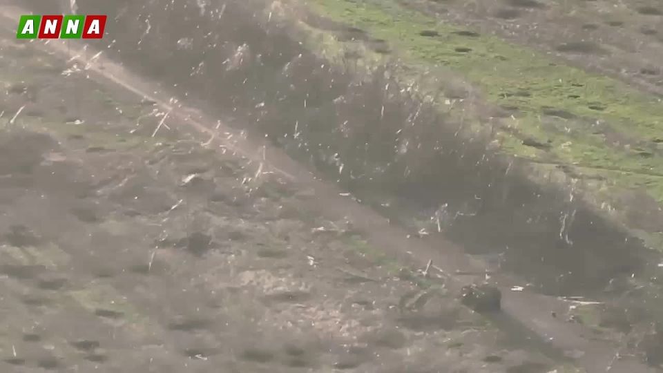 ���������� ����� ������ �� ����������