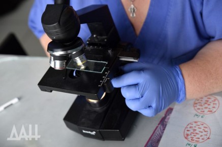 Более 1000 специалистов по лабораторной диагностике трудятся в ДНР