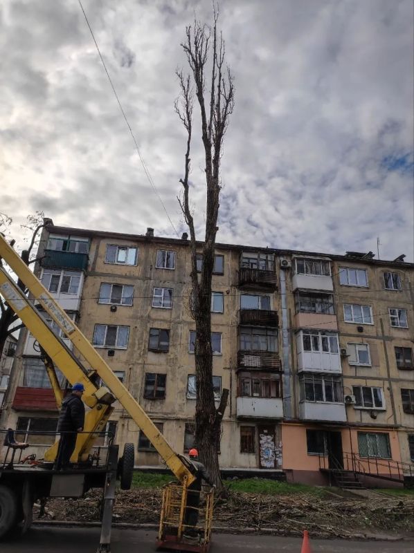 Коммунальщики Снежного продолжают благоустраивать территории общего пользования Коммунальщики Снежного продолжают благоустраивать территории общего пользования