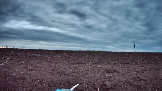 ������������ � ����-��������� �����������