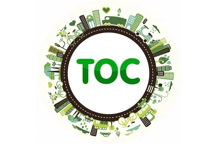 Территориальное общественное самоуправление