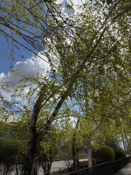 ������� � ���������. �, ������ �����, �������� ������ ��� "�����", �������� ��������� ���������� ������ ��������� �� � 4, �������� ������� � ������������ �������� � ��������� ����� � ��� �����, ����� ������ ��������� ���...