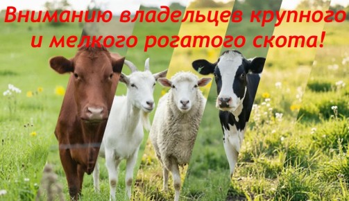 �������� ���������� �������� �������� ����� � ������� �������� �����!