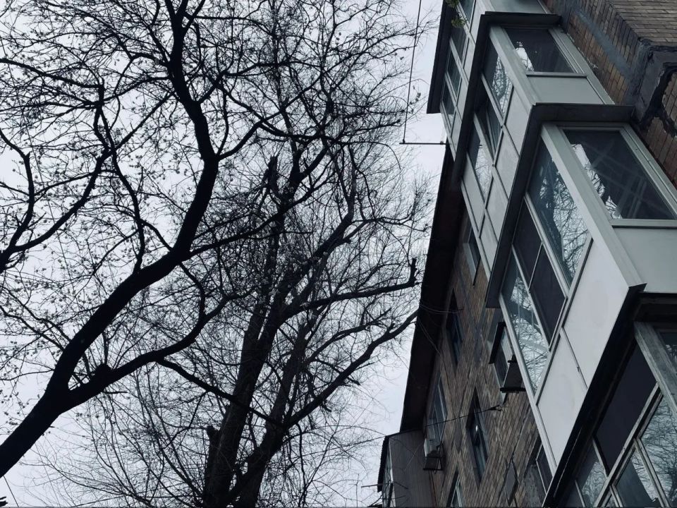 Анна Кондрыкинская: Выехали с коллегами на встречу с жителями по улице Куйбышева, 165 Анна Кондрыкинская: Выехали с коллегами на встречу с жителями по улице Куйбышева, 165