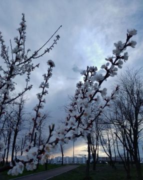 ������ ����, ������� ��� ���!