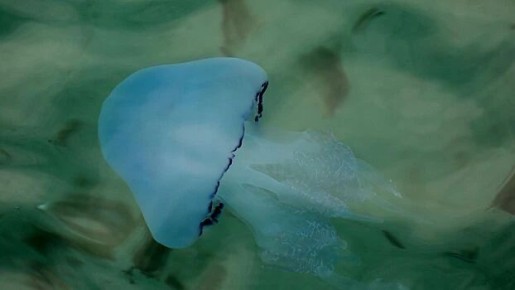 � �������� ���� ���� ����� ������ ������� ����������� ����� � �������� ������������