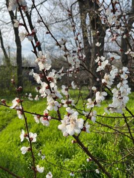 ������� � ���������. �, �������� ��������, �������� ������ ��� "�����", �������� ��������� ���������� ������ ��������� �� � 4, �������� ������� � ������������ �������� � ��������� ����� ����������� ��� ������ ������ ������...