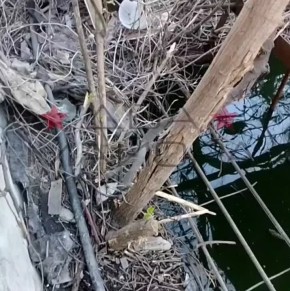 Два майора: Добропольское направление. Бойцы взвода БПЛА 439-го мотострелкового полка поделились небольшим видео о своих фронтовых буднях