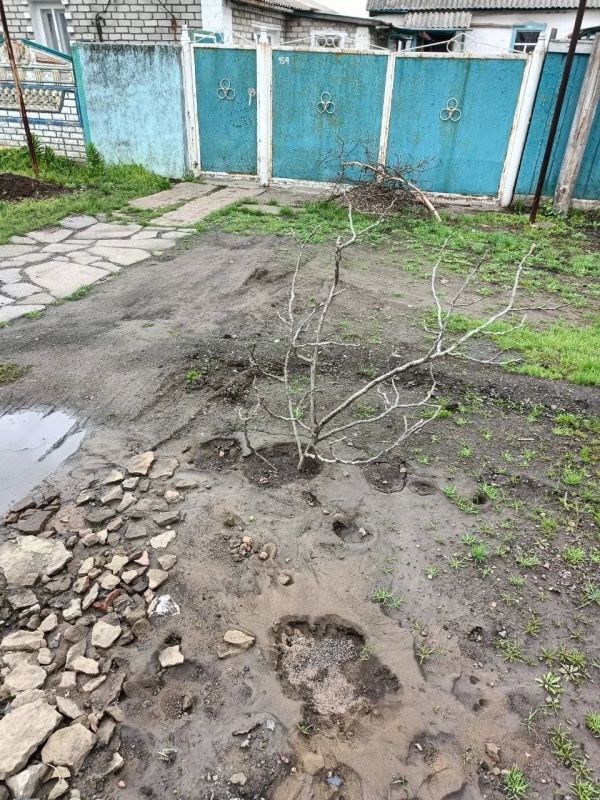 Депутаты отрабатывают сигналы из чат-бота Главы ДНР в Снежном Депутаты отрабатывают сигналы из чат-бота Главы ДНР в Снежном