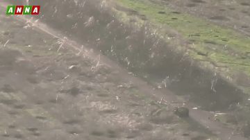 ���������� ����� ������ �� ����������