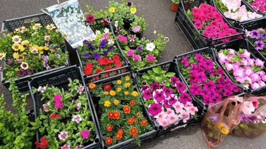 В поселке Старобешево прошла выездная торговая ярмарка