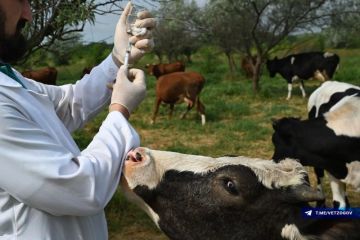 ��������� ������ ����������� �������������� ������!