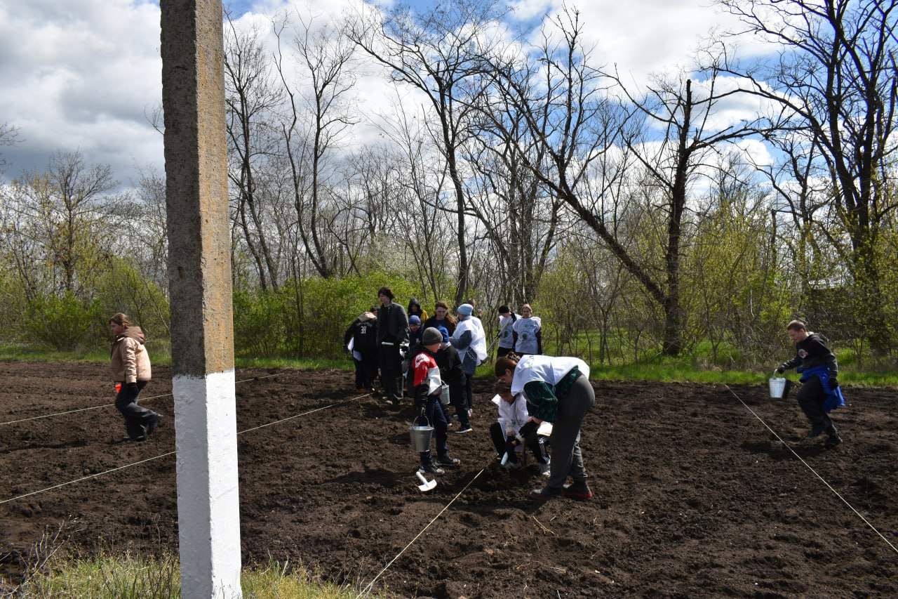 Память, воплощенная в зелени: в Амвросиевском округе расширяют «Сад Памяти» Память, воплощенная в зелени: в Амвросиевском округе расширяют «Сад Памяти»