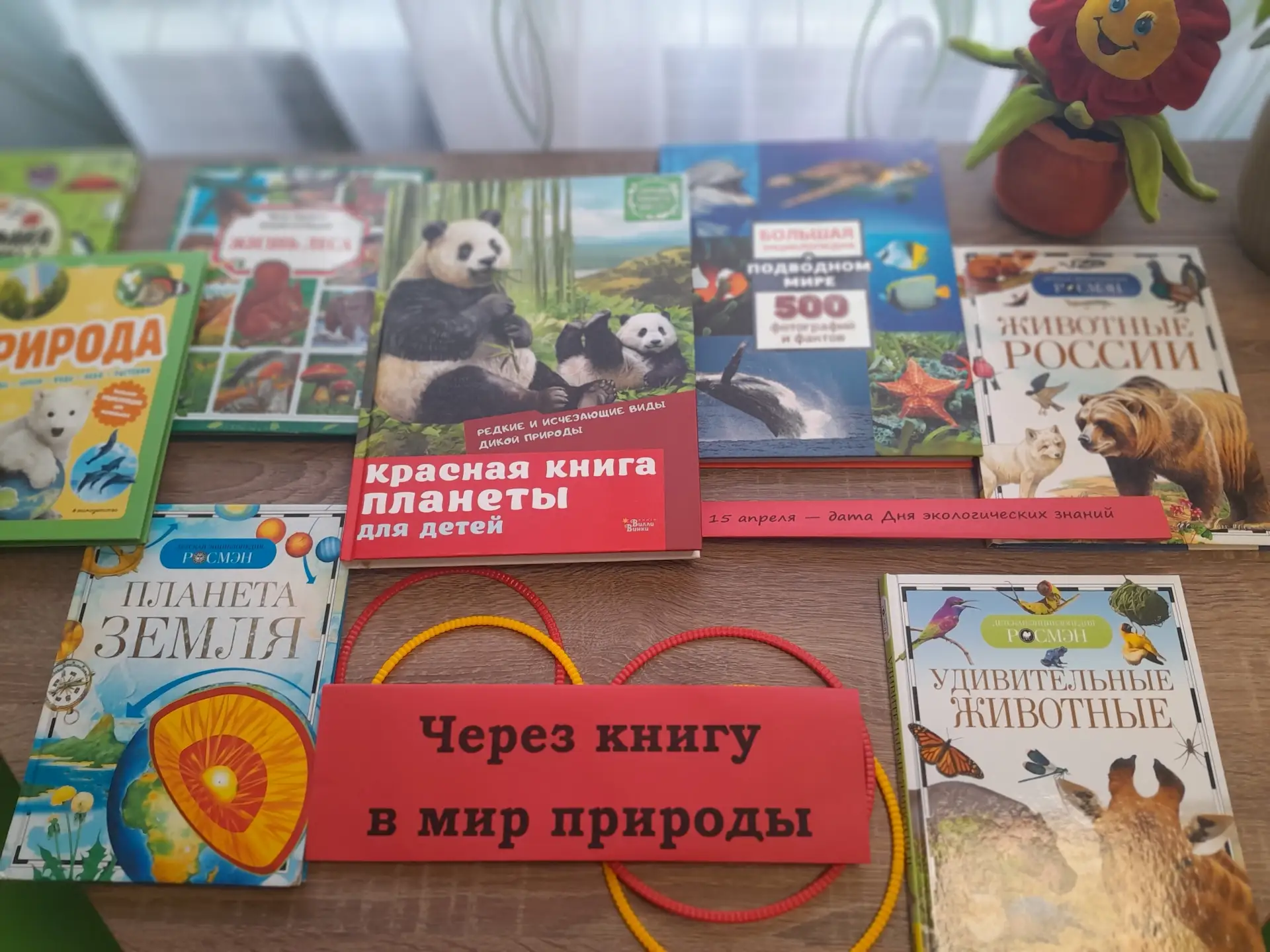 Через книгу в мир природы. День экологических знаний отмечается ежегодно 15 апреля во всём мире Через книгу в мир природы. День экологических знаний отмечается ежегодно 15 апреля во всём мире